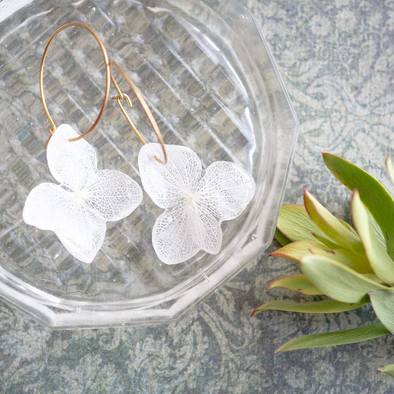 Real hydrangea hoop earrings - ต่างหู - เรซิน ขาว
