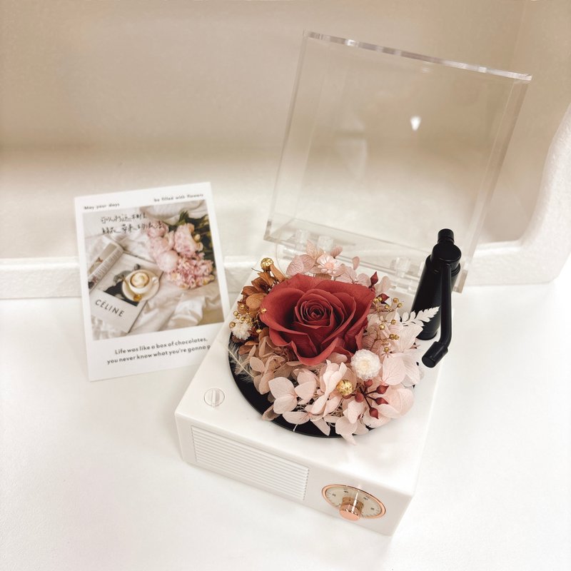 Everlasting flower film bluetooth music machine - opening birthday gift yuflorist - ช่อดอกไม้แห้ง - พืช/ดอกไม้ หลากหลายสี