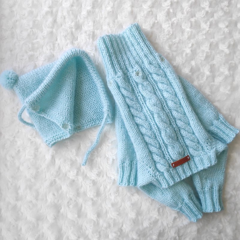 Wool Clothing & Accessories Green - Light green sweater long sleeve and hood for dog, warm sweater for dog