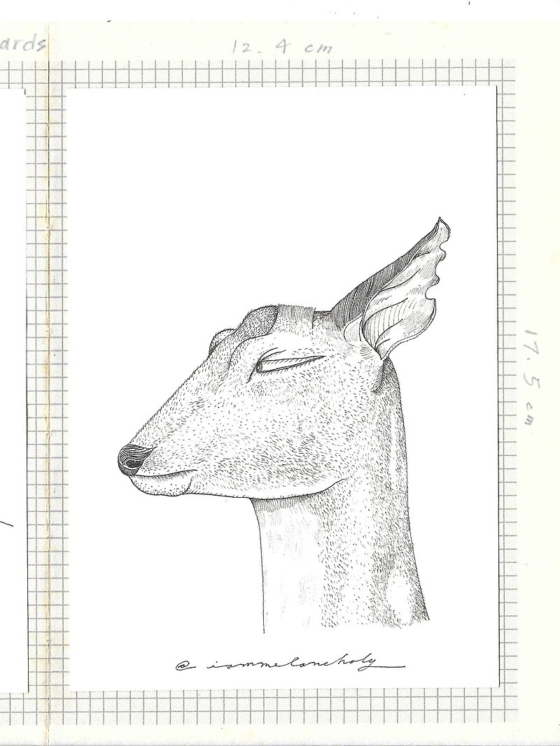 聖誕卡 (鹿) - 卡片/明信片 - 紙 白色