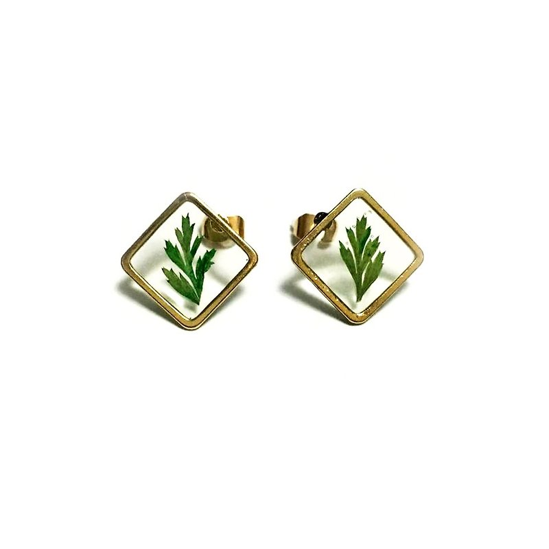 Golden Framed Earrings pressed flower earrings - ต่างหู - โลหะ สีทอง