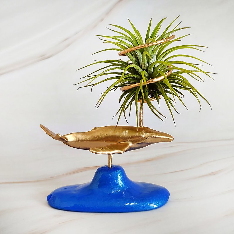Air Plant Holder (Humpback Whale) for gift and decorate - Plants - Resin Gold