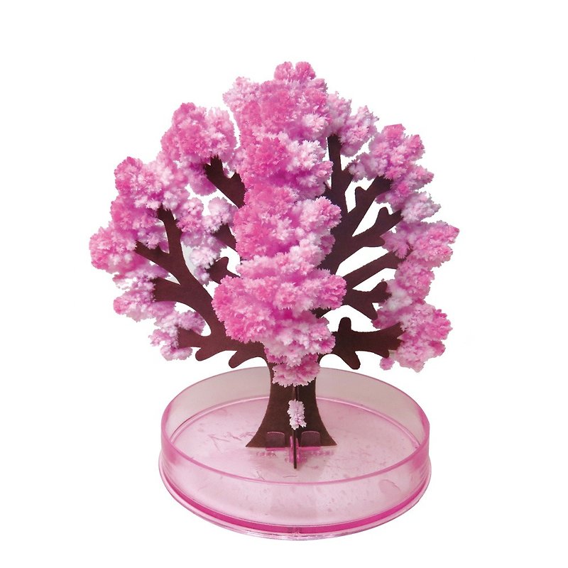 (Preorder Order) Mr. Sai Science Fair Magic Cherry (15cm) - Exclusive Cherry Blossom (* 195) Cash On Delivery - Wood, Bamboo & Paper - Paper 