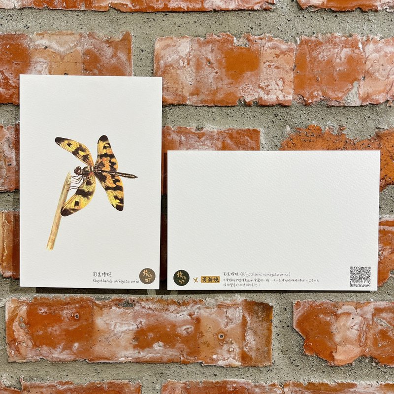 生物繪圖明信片-森林與昆蟲by黃瀚嶢老師作品 - 卡片/明信片 - 紙 綠色