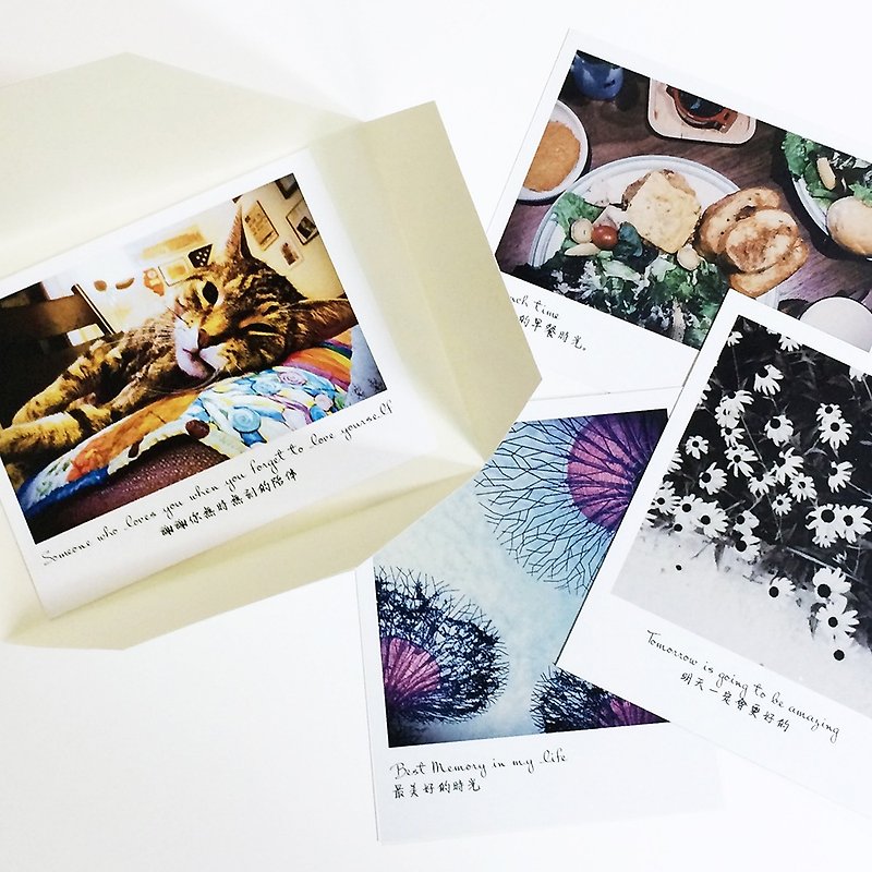 Silver photo style 4 sheets (シルバーフォトスタイルSilver photo style) - Photo Albums & Books - Paper White