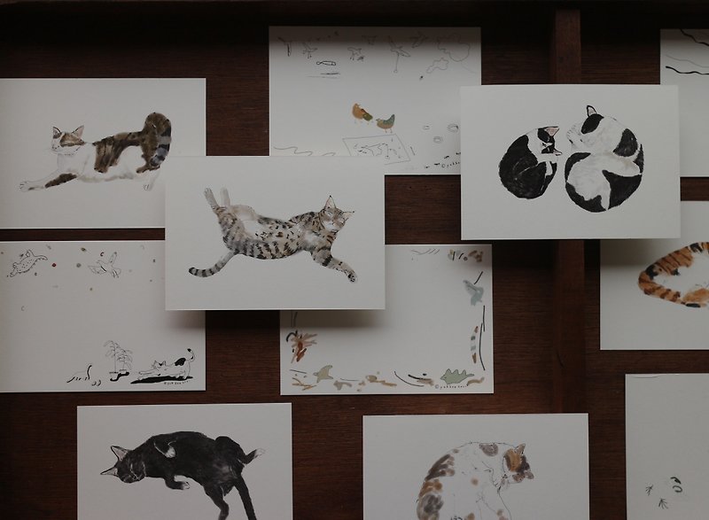 Sleep Well Series - Cat Postcards - การ์ด/โปสการ์ด - กระดาษ 
