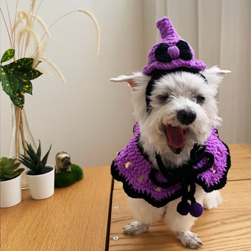 空茶　犬服　ハロウィンパープルドレス➕魔女帽子3着　ハンドメイド ハロウィン限定版 -パープルの魔女が空高く舞い上がる - ペット
