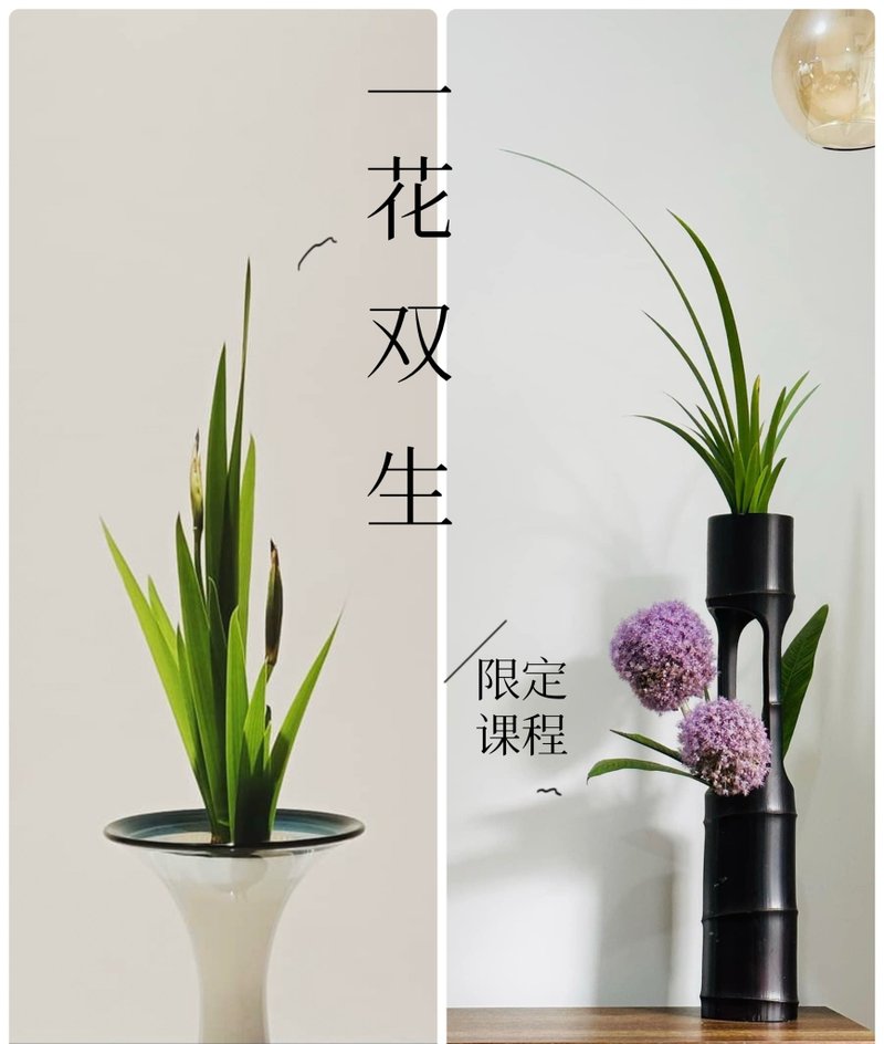 [Limited course for Zhi Ri students] One flower twins_4 classes per period - Plants & Floral Arrangement - Plants & Flowers 