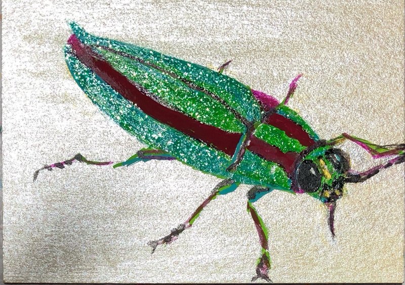 【Animal Series】 Jewel Beetle - Posters - Paper Green