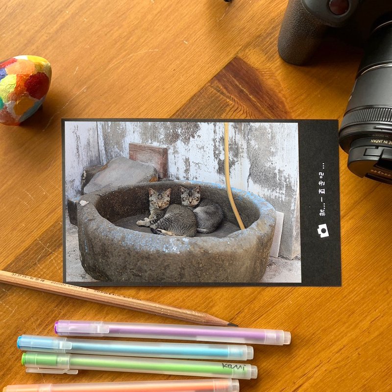 Handmade limited edition photographic postcard-Penghu Stone Groove Cat/Taiwan Small Things Photography - การ์ด/โปสการ์ด - กระดาษ หลากหลายสี