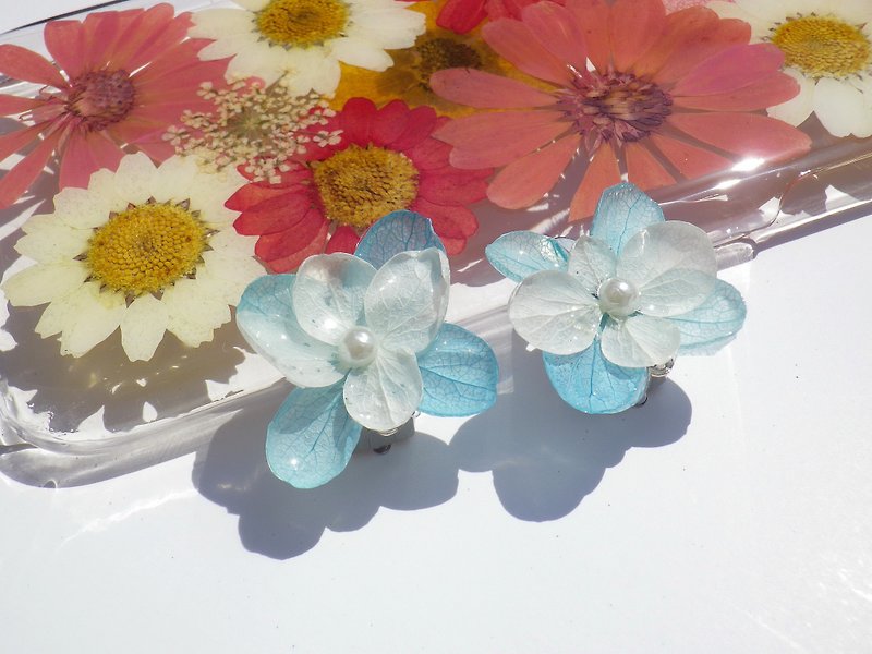 Hydrangea Earrings, Flower Studs, Blue Hydrangea Earrings, Real Flower Jewelry - ต่างหู - ซิลิคอน สีน้ำเงิน