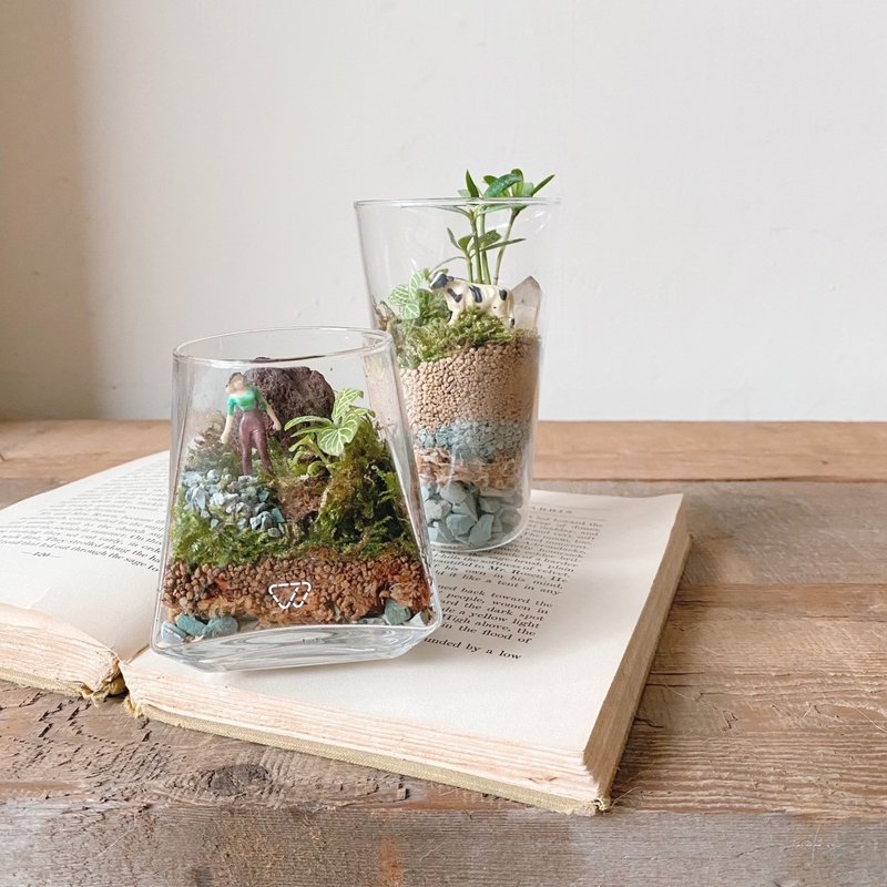 Handmade - Make a cup of moss micro-landscape feat. Flower afternoon tea healing decoration for beginners to plant. - Plants & Floral Arrangement - Plants & Flowers 