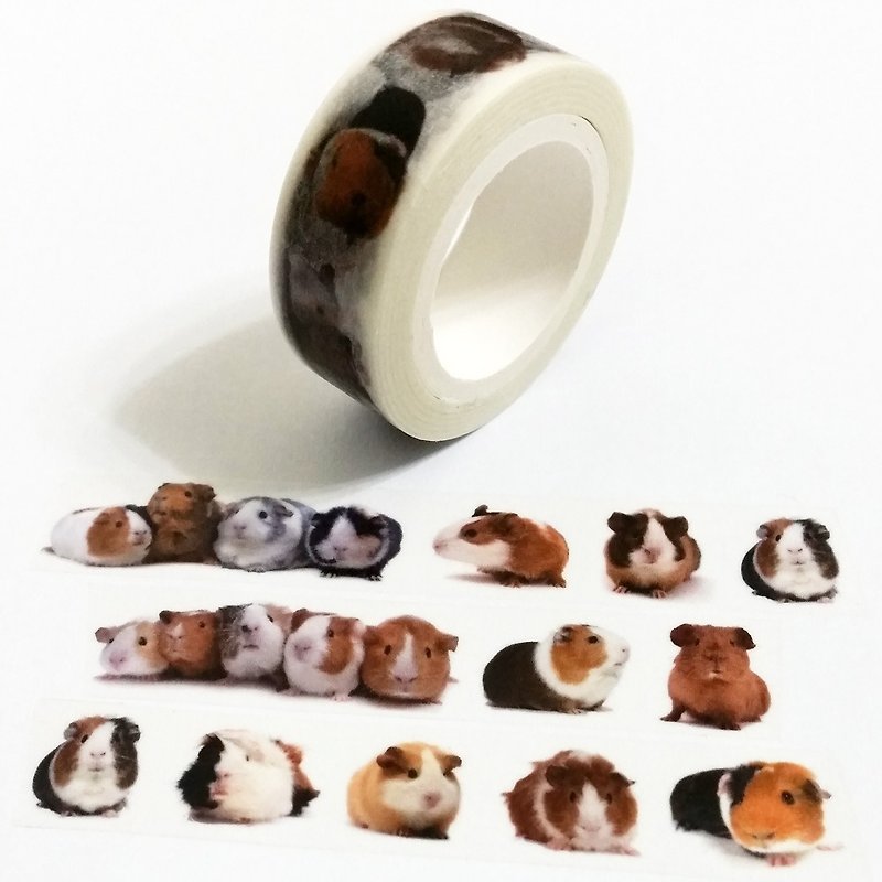 Masking Tape Guinea Pigs - มาสกิ้งเทป - กระดาษ 