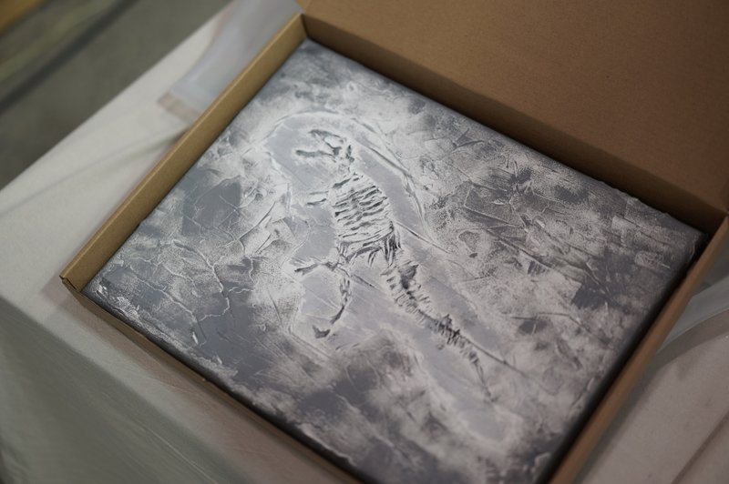 現貨AHM IARTS 厚砌畫-恐龍化石 體驗禮盒 - 插畫/繪畫/寫字 - 棉．麻 