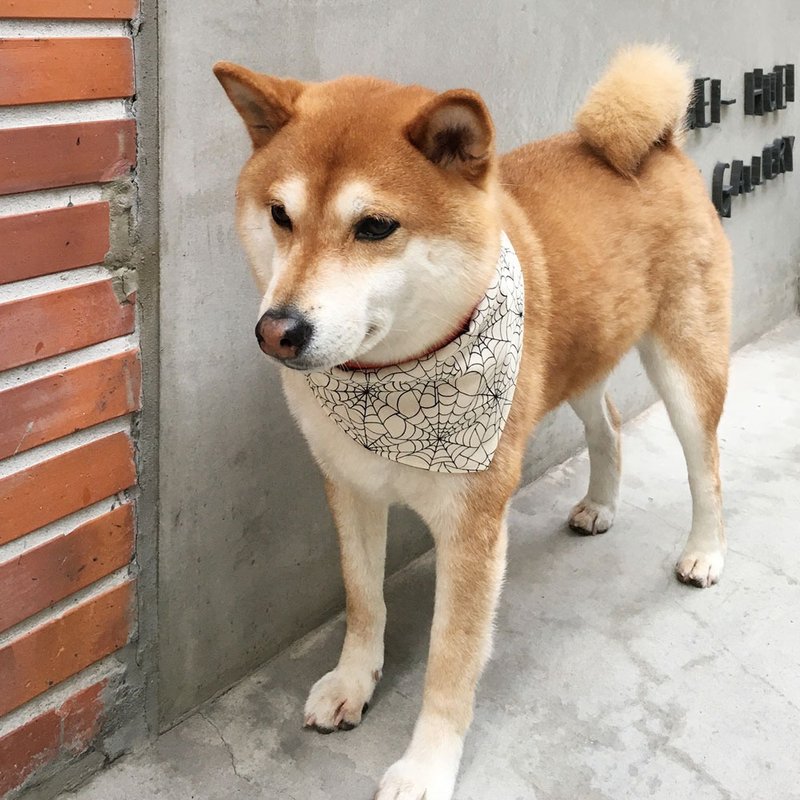 狗狗專屬名領巾-客製化(中型犬)- 蜘蛛俠 - 項圈/牽繩 - 棉．麻 銀色