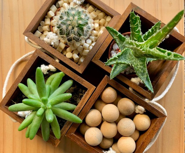Bestarミニ多肉植物木箱植栽ボックス収納ボックス6x6x4CM