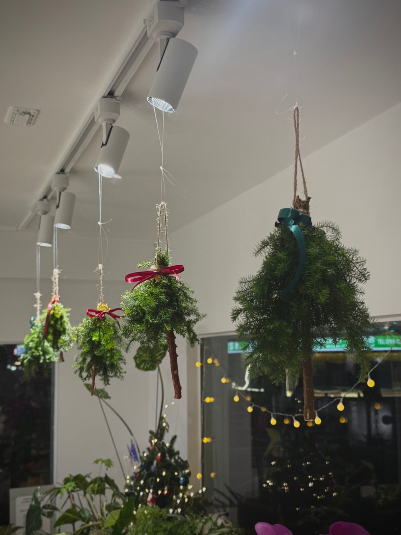 小故事商店 I 雪松聖誕樹掛飾 - 植栽/花藝 - 植物．花 