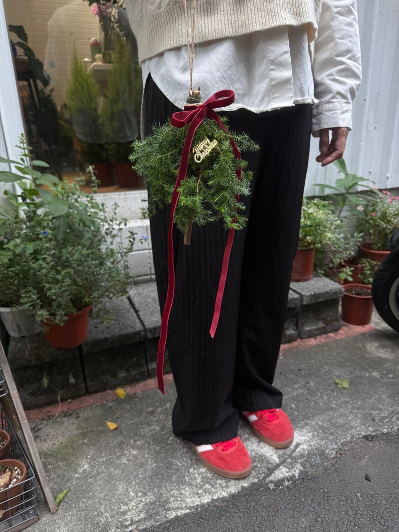 Little Story Shop I Mini Cedar Christmas Tree Ornament - Plants & Floral Arrangement - Plants & Flowers 