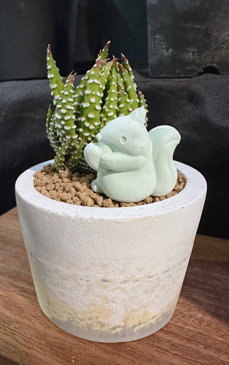 Ready stock//Healing partner plant potted Cement basin exchange gift - ตกแต่งต้นไม้ - ปูน ขาว