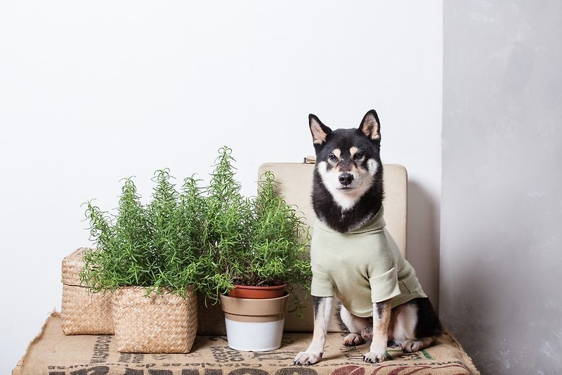 [Tail] with me hooded pet clothing section Matcha green colors - Clothing & Accessories - Cotton & Hemp 