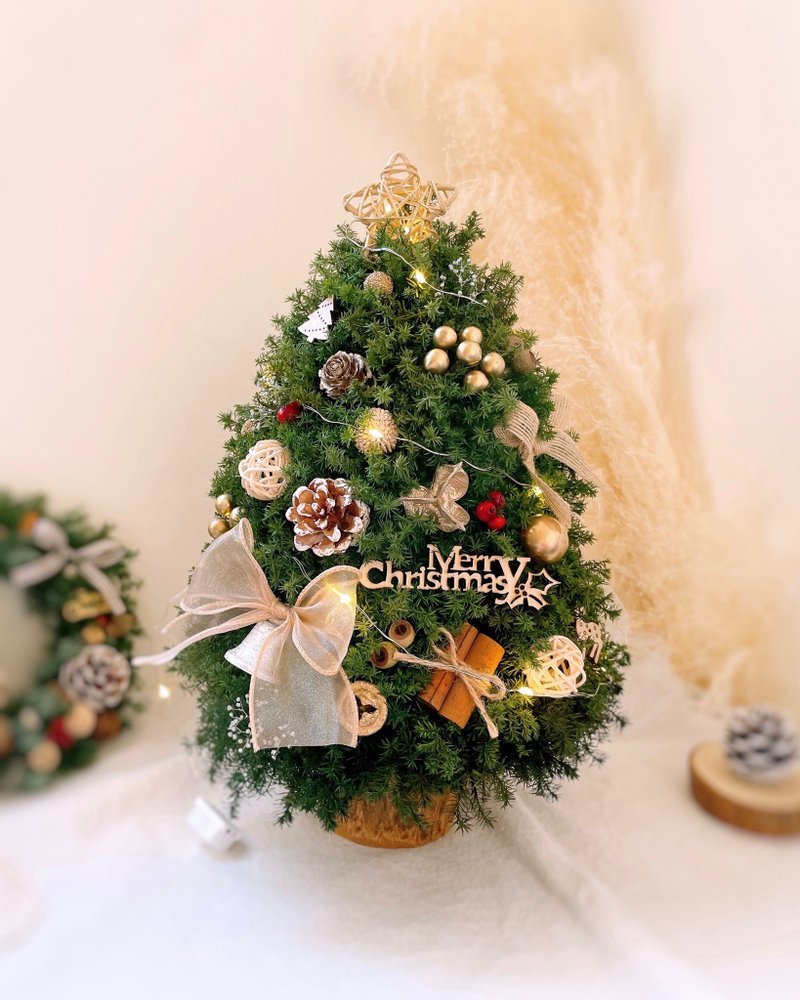 [Eternal Cedar Christmas Tree] Comes with gift box, limited edition, approximately 37 cm tall, Christmas - ช่อดอกไม้แห้ง - พืช/ดอกไม้ สีเขียว