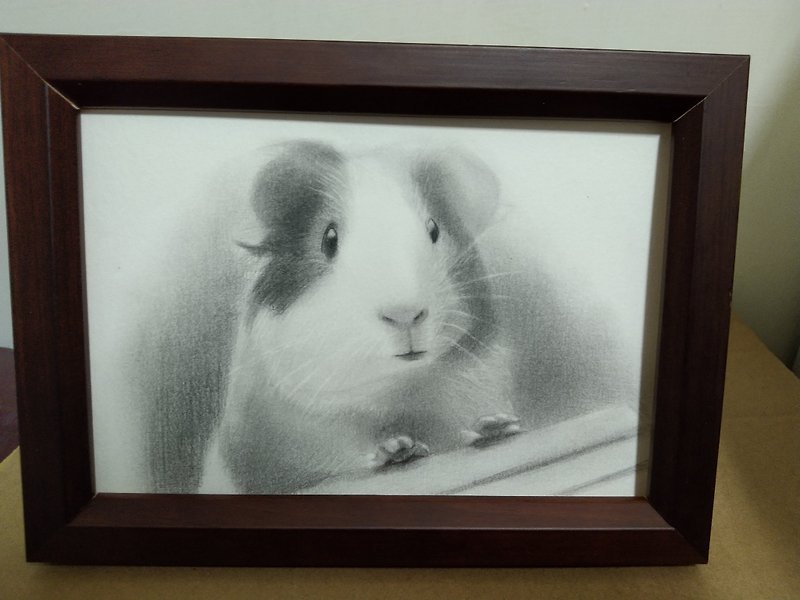 Decoration / Guinea Pig / Pencil Drawing / Framed