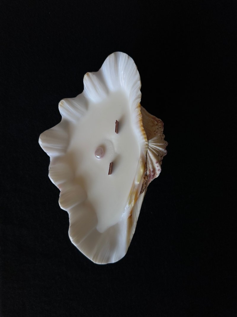 About Mistress’s San Diego Candle-14 - Fragrances - Shell White