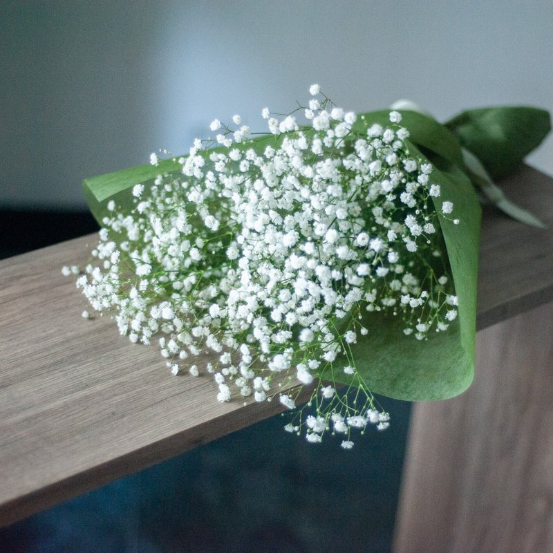 Natural Baby's Breath Flower Gypsophila, Bouquet, Home Decoration, White  Bouquet -  Norway