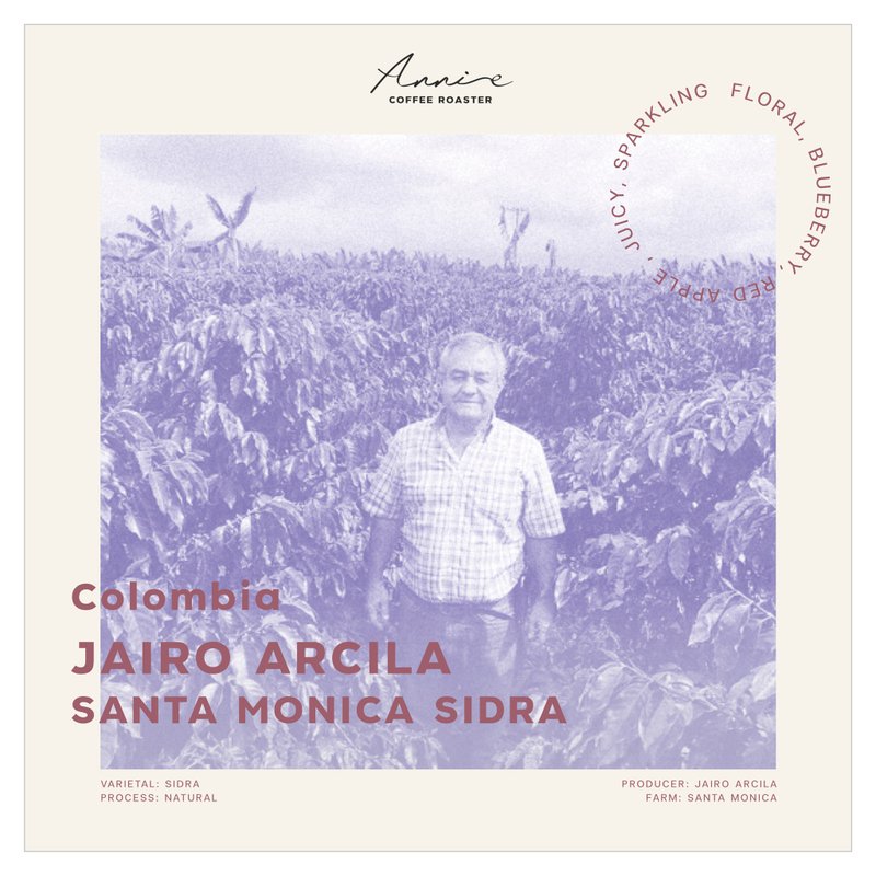 Jairo Arcila Santa Monica Sidra Colombia, Natural 100G. Light Roast - Coffee - Other Materials 