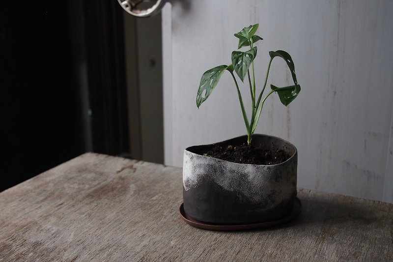 陶器製植木鉢・鉢植え - 観葉植物 - 陶器 ブラック