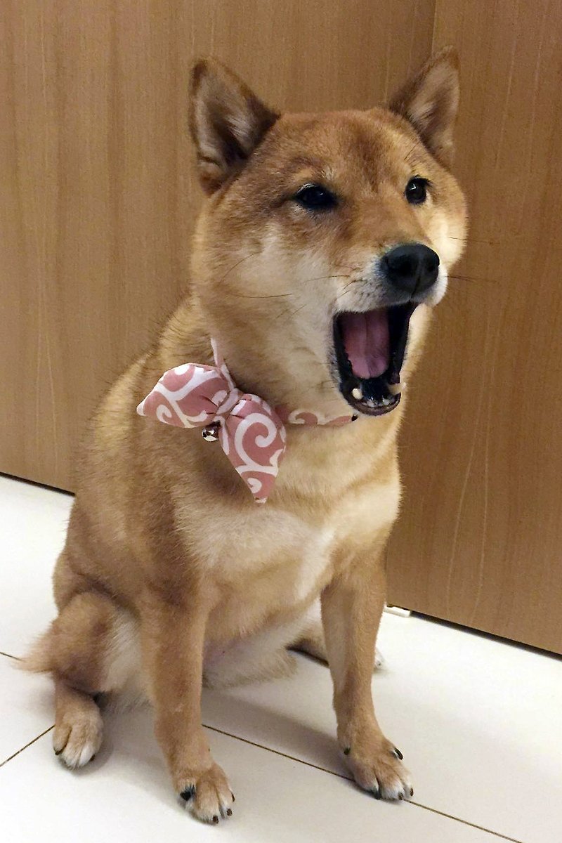 唐草模様の蝶形の犬の首輪ピンクの猫Sサイズ - 首輪・リード - コットン・麻 オレンジ