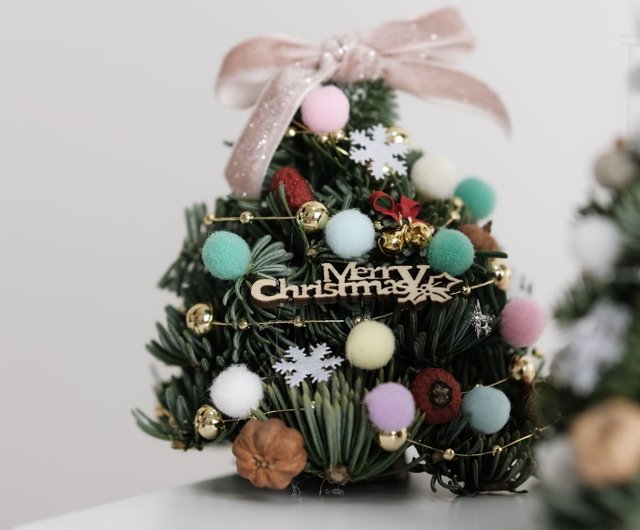 2024年クリスマス特典*10cm ノーベルパイン デンマーク直輸入 ミニ