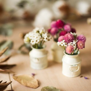 Fleurir Blossoming Time Berry Garden/Dry Bouquet/Flower Gifts/Wedding Objects/Exchanging Gifts