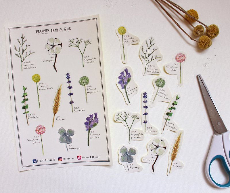 Flover Fulla design dried flower illustrations diy hand clip paper flowers watercolor flower stickers - สติกเกอร์ - กระดาษ 