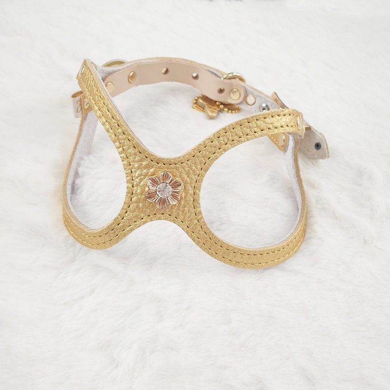 【客製化】Buddy Belts 鉚釘客製服務(限加購) - 項圈/牽繩 - 貴金屬 