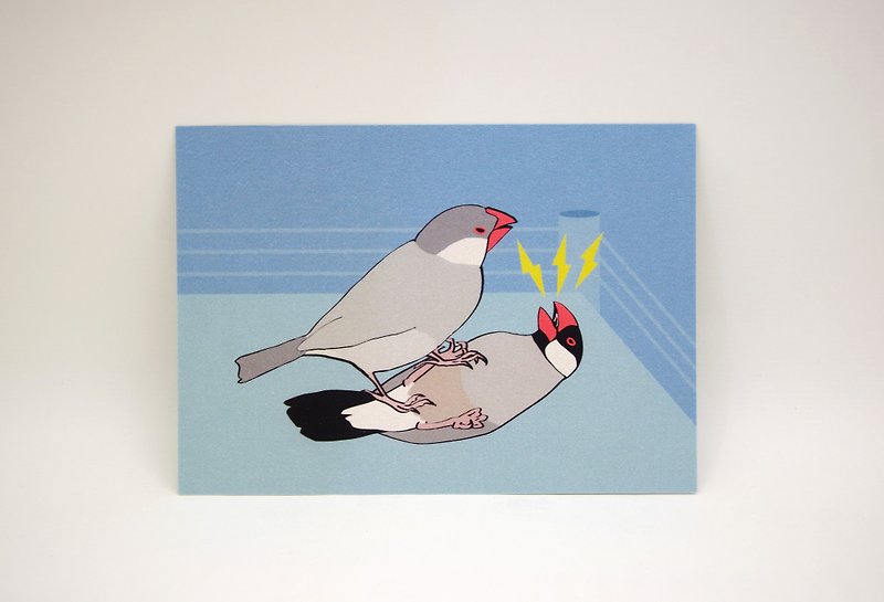Java sparrow Postcard (Buncho Battle Entertainment) - การ์ด/โปสการ์ด - กระดาษ สีน้ำเงิน