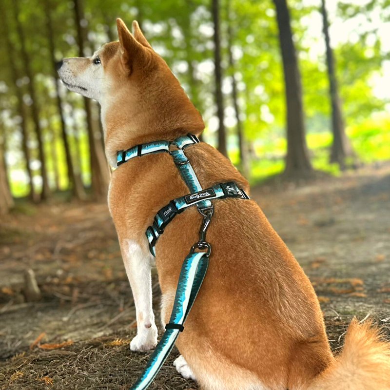 Woofy Woofy Casual H Harness Dog Harness - ปลอกคอ - เส้นใยสังเคราะห์ สีเขียว