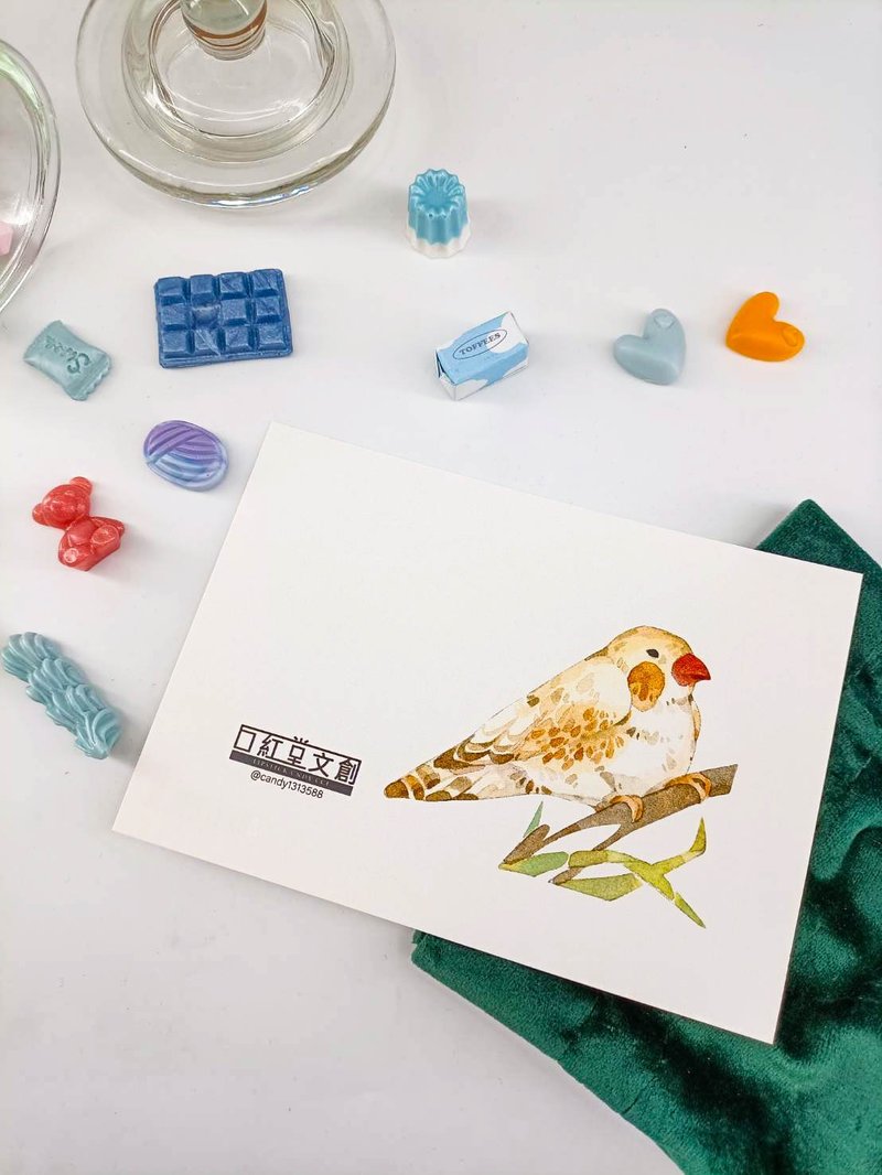 KR474_口紅堂明信片_文鳥11_candy1313588 postcard - 卡片/明信片 - 紙 多色