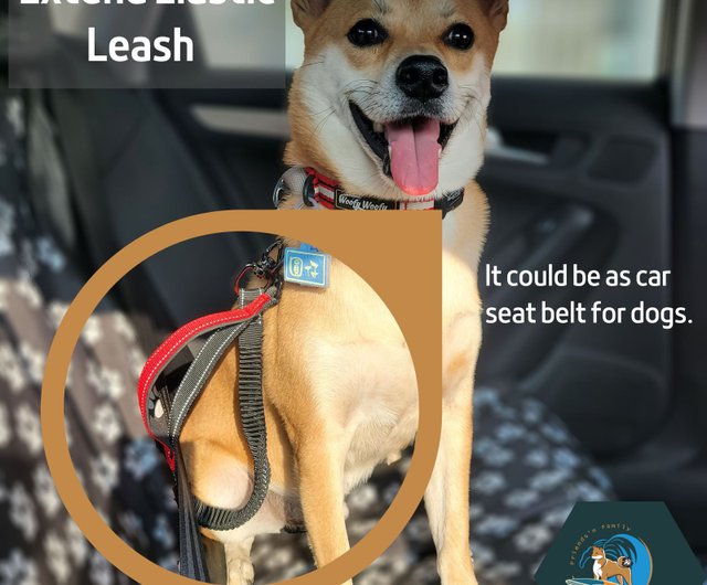 Seat belt extender deals for dog harness