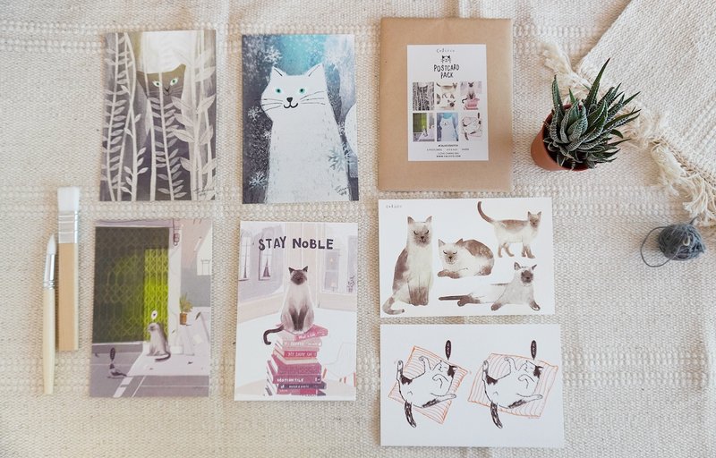 Postcard cat pack 6 pieces PS006 4x6 in - Cards & Postcards - Paper Orange