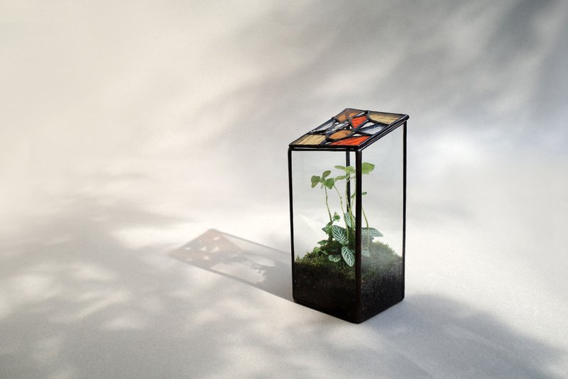 Light Chamber/Greenhouse Planting Vase LUMIROOMI Mosaic Glass - ตกแต่งต้นไม้ - แก้ว หลากหลายสี