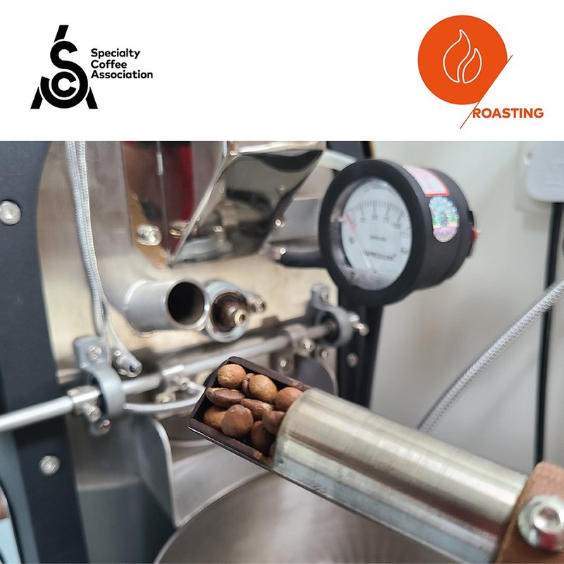 Specialty Coffee Association (SCA) Roasting Skills Foundation - อาหาร/วัตถุดิบ - วัสดุอื่นๆ 