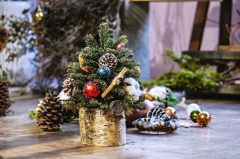 【クリスマス限定】-25cmクリスマスツリー手作りコース+香りの組み合わせ - フラワー/ガーデン - 寄せ植え・花 