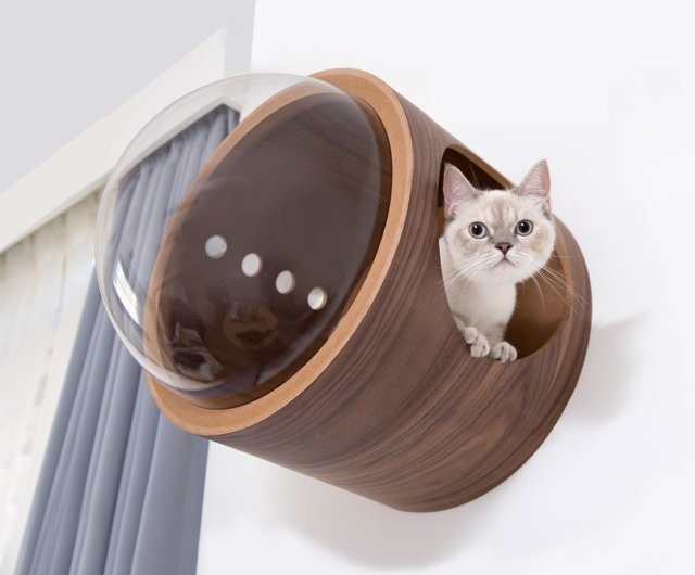 Plexiglass cat outlet enclosure