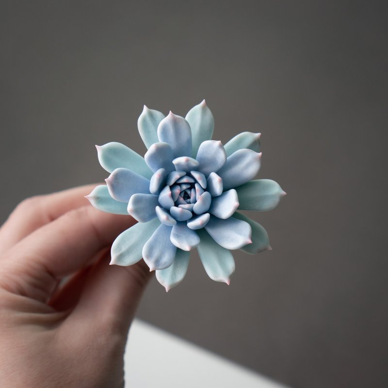 Large blue echeveria hairpin - Hair Accessories - Other Materials Blue