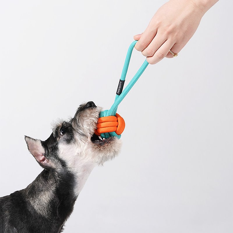 犬のツーリングアイスクリームボール - おもちゃ - ポリエステル 