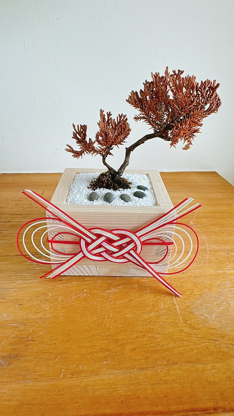 Mini wabi-sabi wind Japanese Zen garden dry pine and cypress dry potted plant pure natural water-inducing wood - ของวางตกแต่ง - พืช/ดอกไม้ สีนำ้ตาล