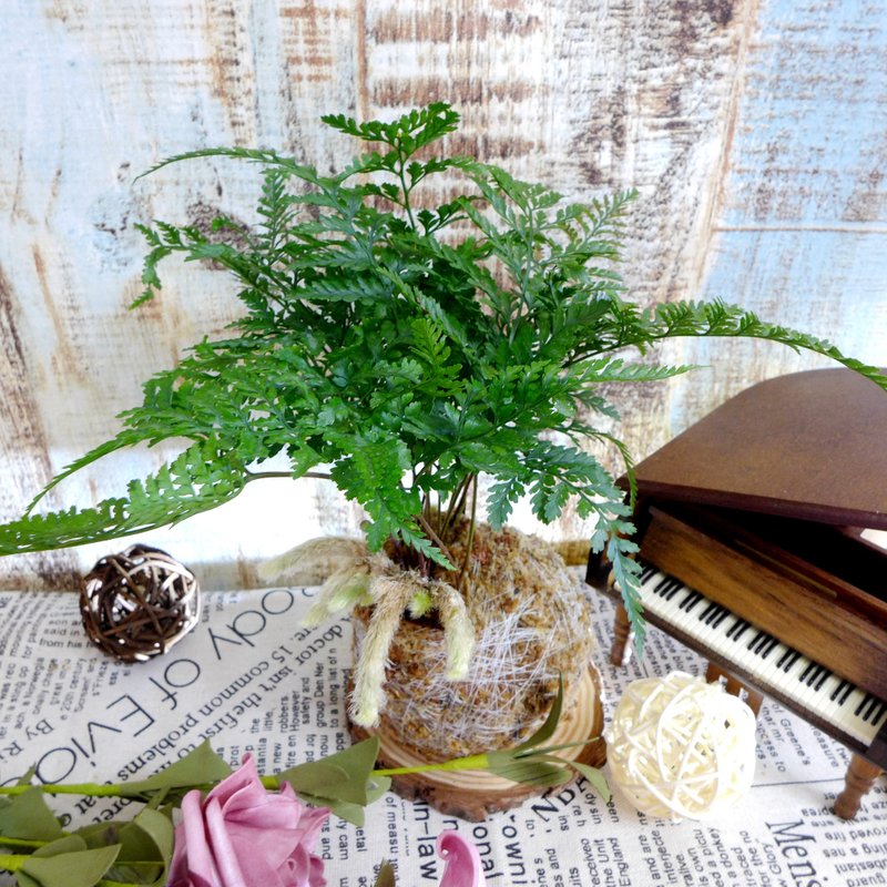 芊艸手作/ 蕨類系列苔球 - 兔腳蕨 - 植栽/盆栽 - 植物．花 綠色
