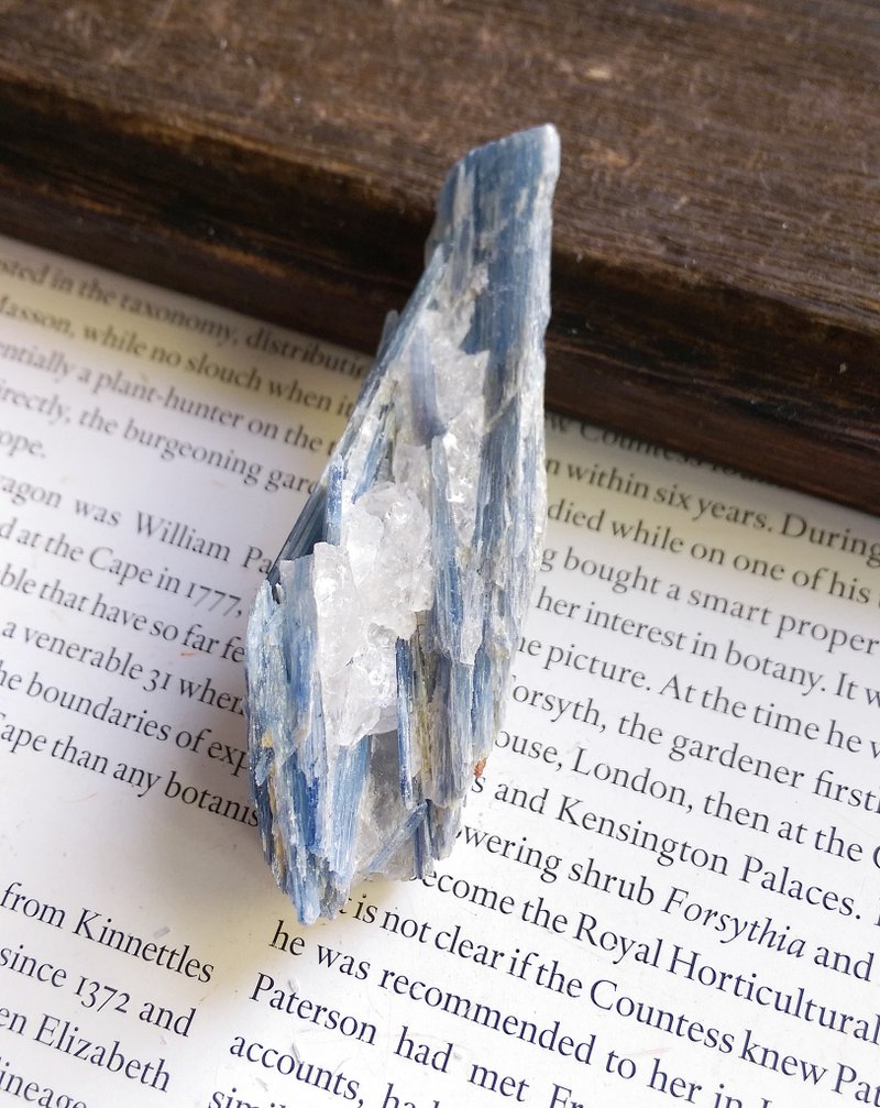 Kyanite 安徽產地 藍晶石 石英共生礦 天然礦石 原礦 - Items for Display - Other Materials 