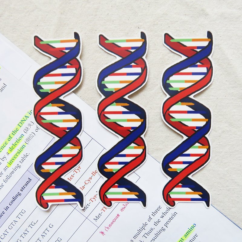【買一送一】脱氧核醣核酸 DNA 大貼紙 / 遺傳基因 生物學 - 貼紙 - 防水材質 多色